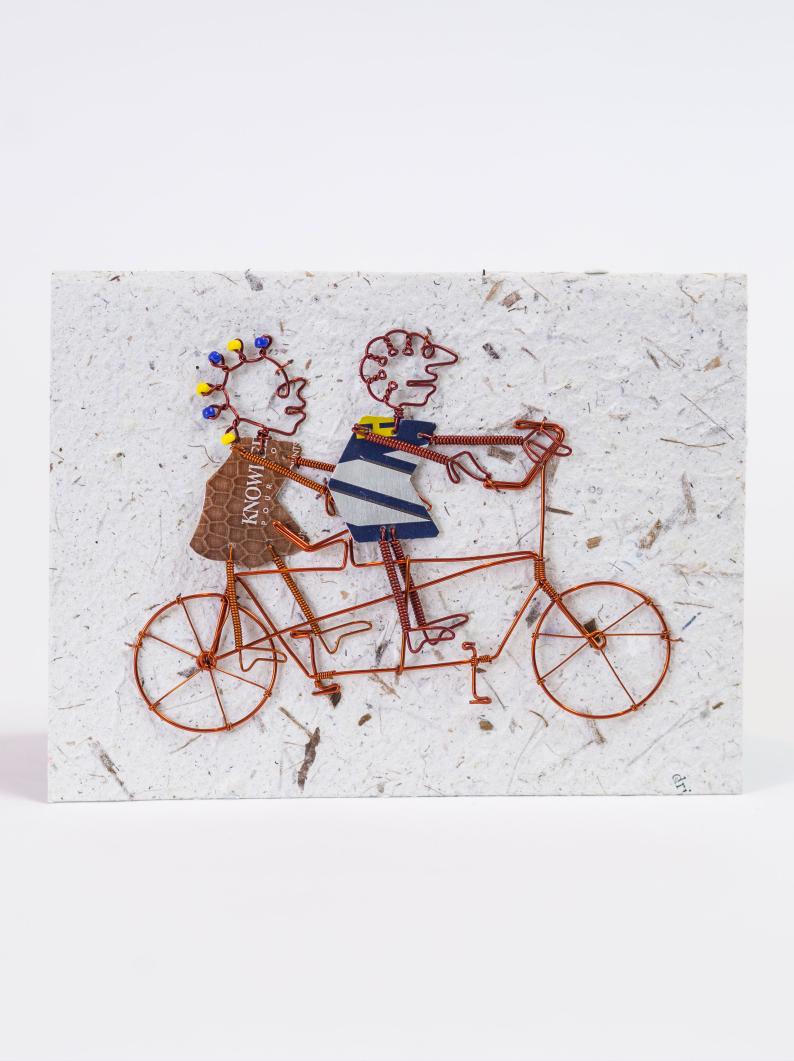 Bicycle Couple